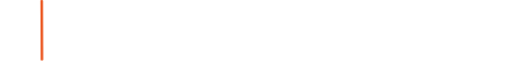 Specialized Security Services